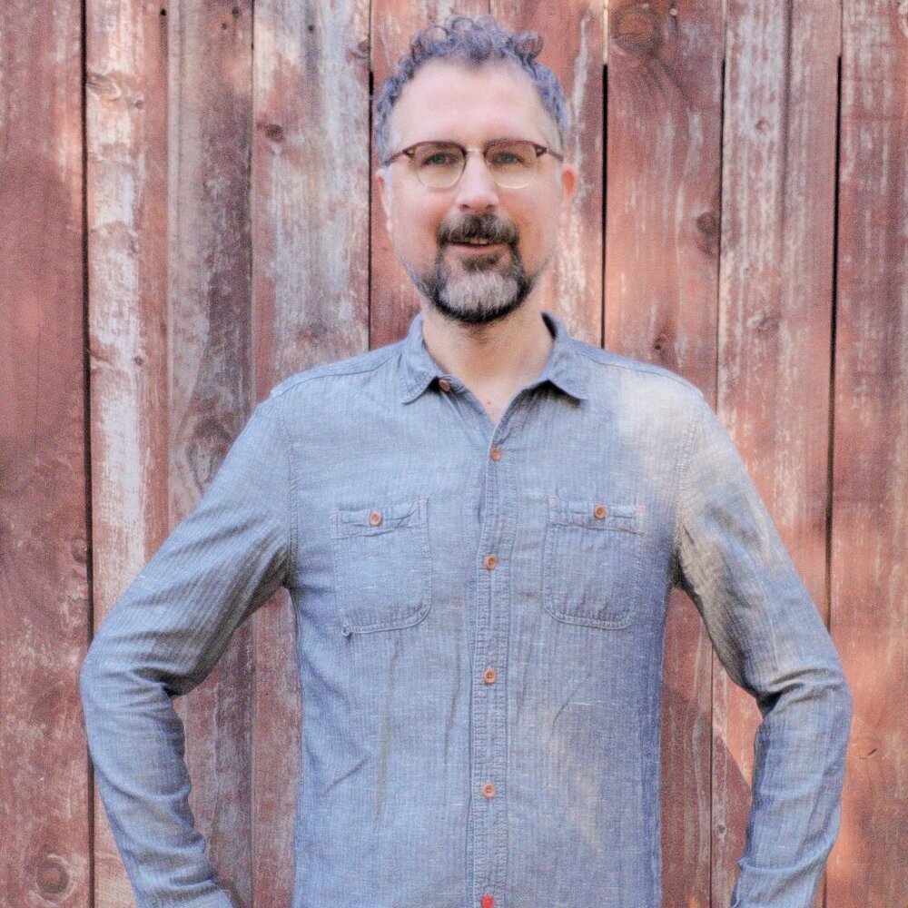 CPO Provisions Urban Outfitters button up long sleeve dress shirt herringbone